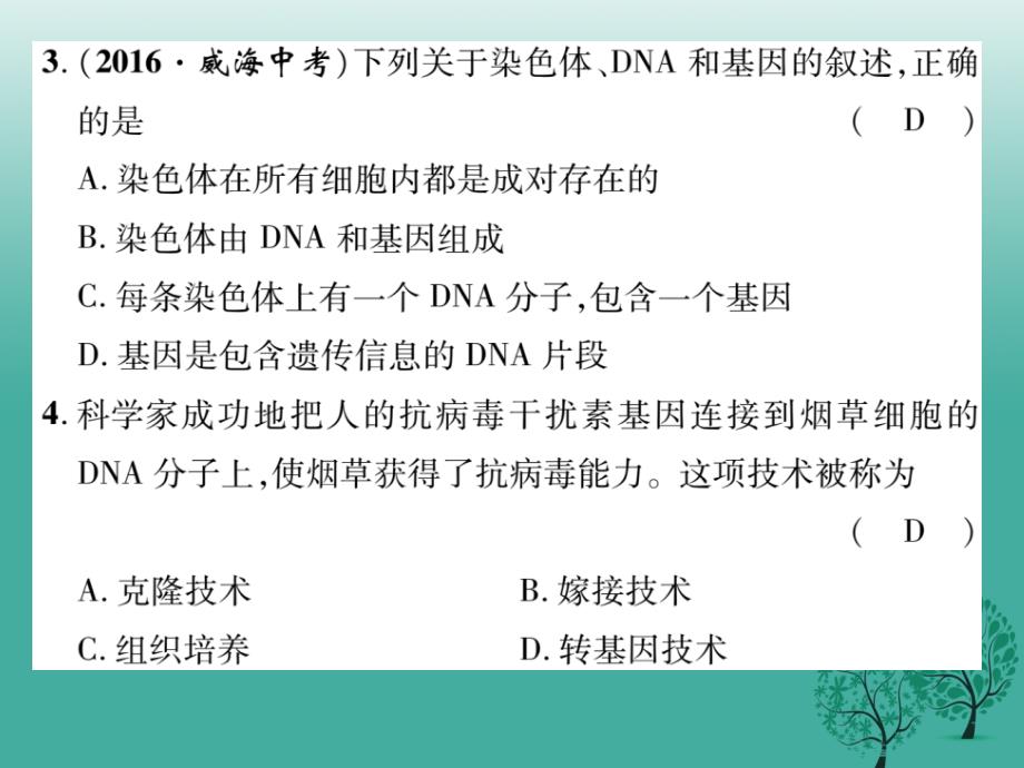 八年级生物下册第七单元第二章生物的遗传和变异达标课件（新版）新人教版_第3页