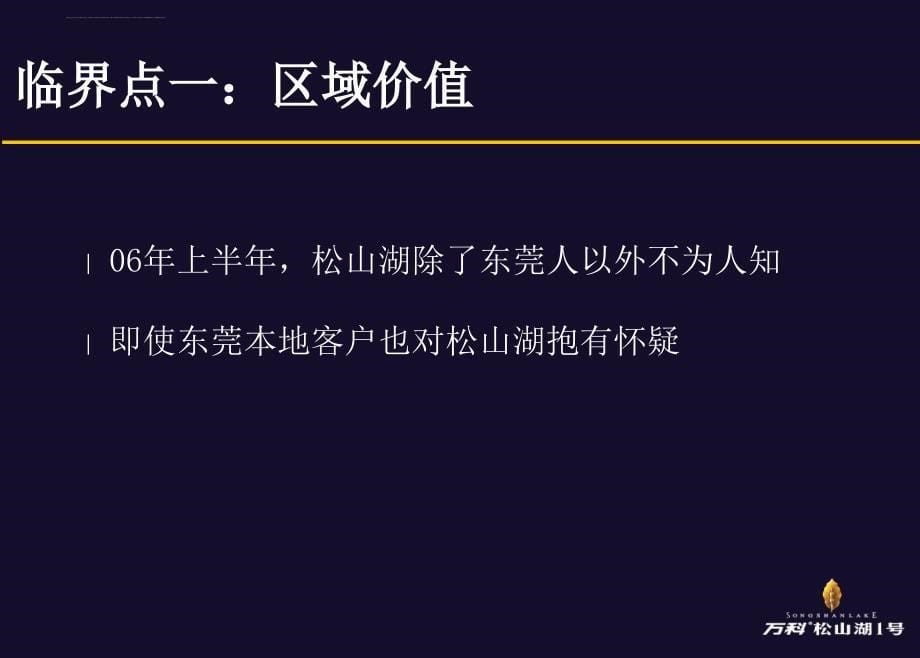 2006年度最佳策划项目(松山湖)课件_第5页