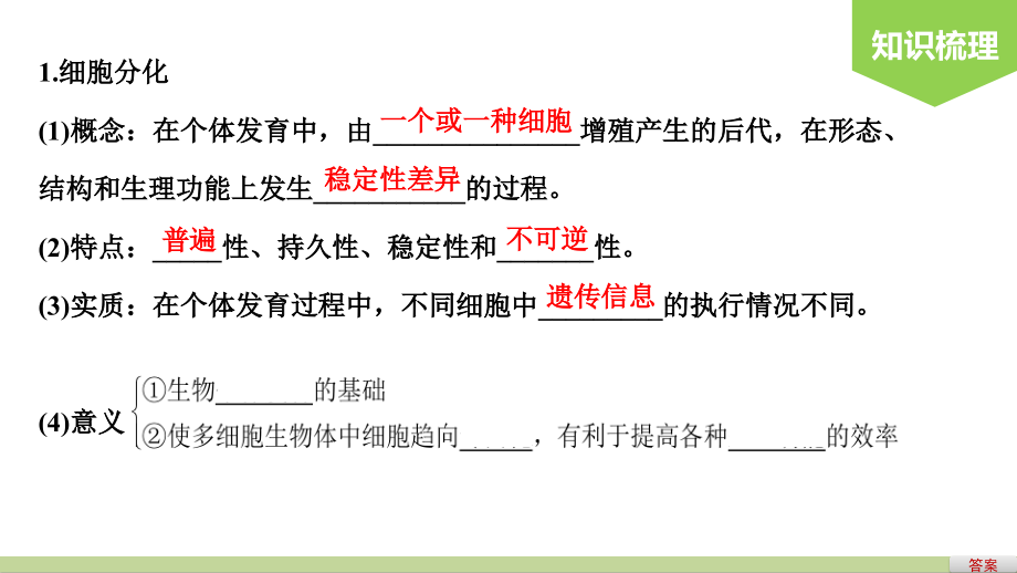 备战2021届高考生物一轮专题复习第15讲细胞的分化、衰老、凋亡与癌变-课件_第4页