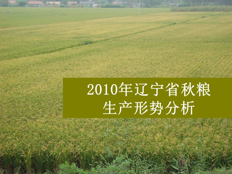 2010年辽宁省粮食生产形势分析课件_第1页
