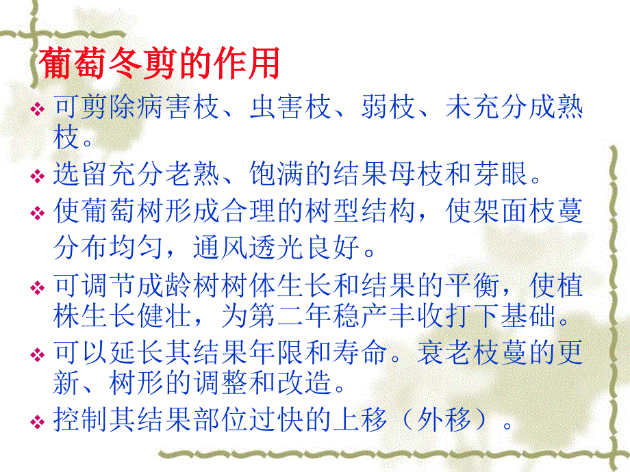 第五部分__红提冬季课件_第3页