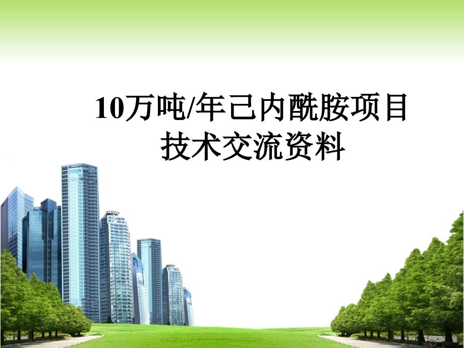 10万吨己内酰胺资料介绍幻灯片资料_第1页