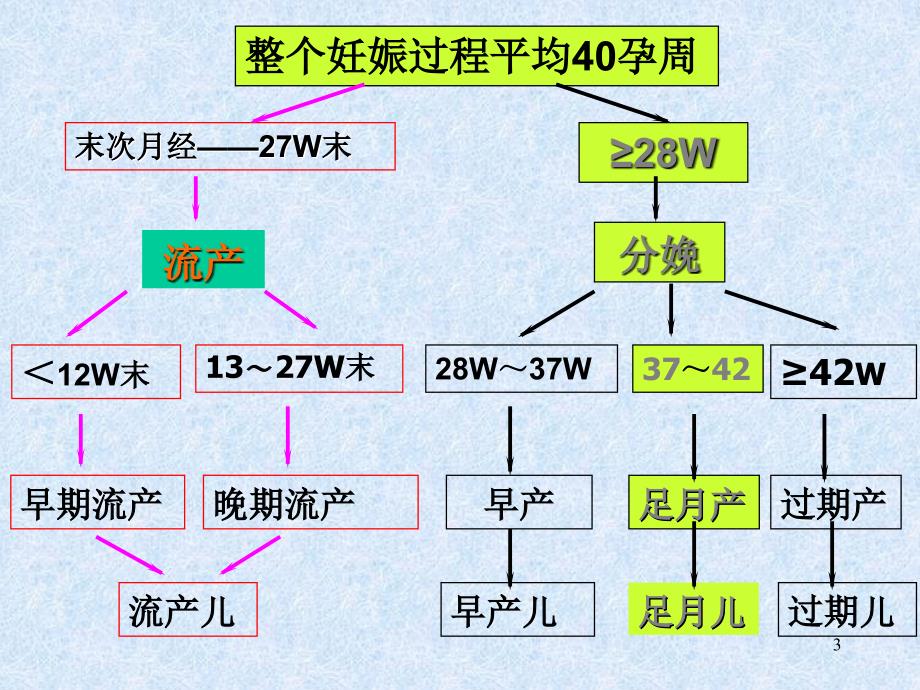 2010年医学检验+正常分娩幻灯课件_第3页