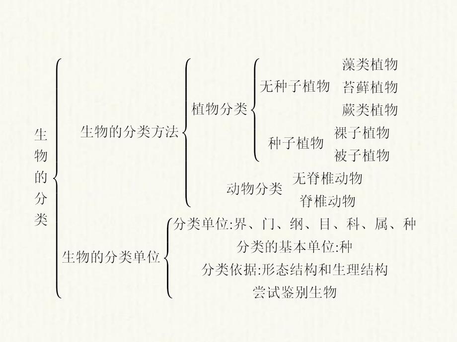 七年级生物上册第二单元第四章生物的分类单元整合课件（新版）济南版_第2页