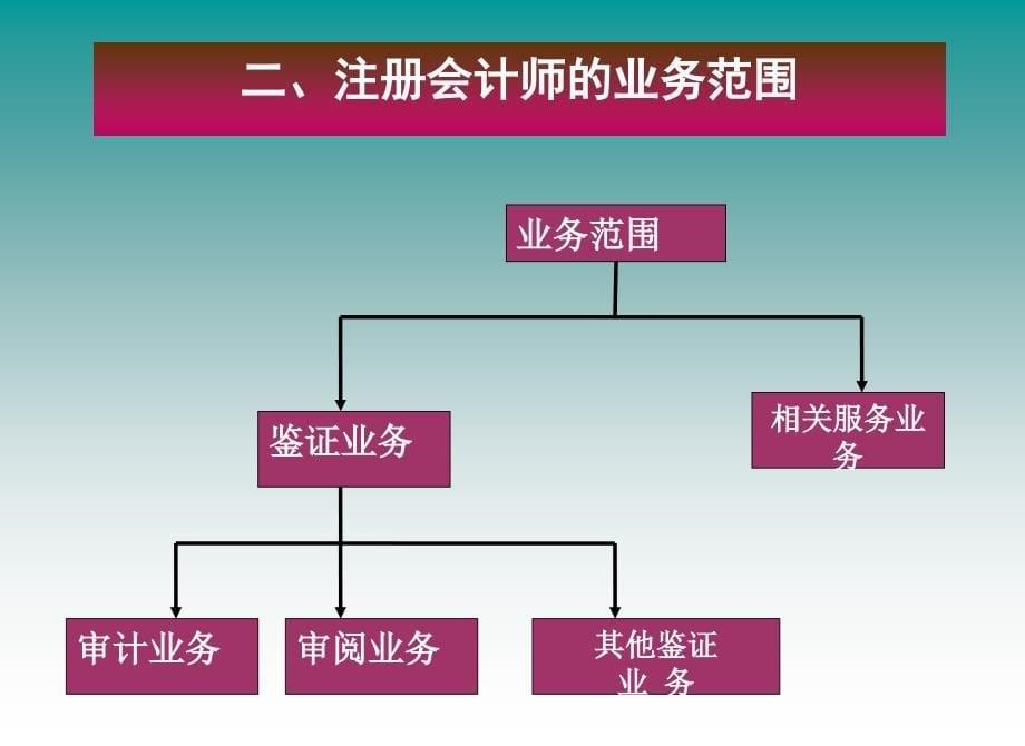 3第三章注册会计师行业的管理D培训教材_第5页