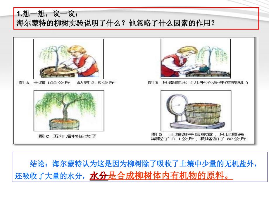 第五章绿色植物与生物圈中的碳氧平衡课件_第4页