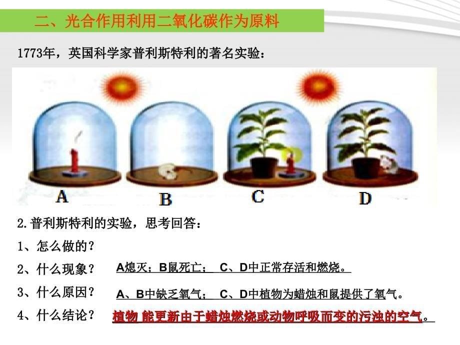 第五章绿色植物与生物圈中的碳氧平衡课件_第5页