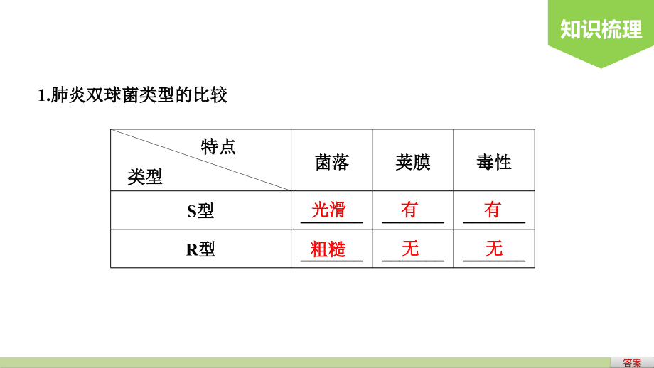 备战2021届高考生物一轮专题复习第21讲DNA是主要的遗传物质-课件_第4页