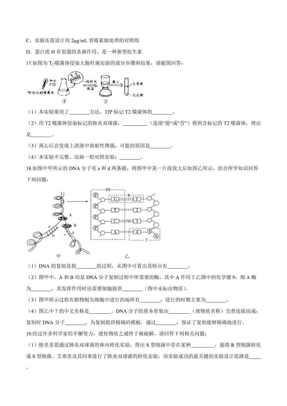 考点17 DNA是主要的遗传物质及其结构与复制2020年衔接教材新高三一轮复习生物（原卷版）_第5页