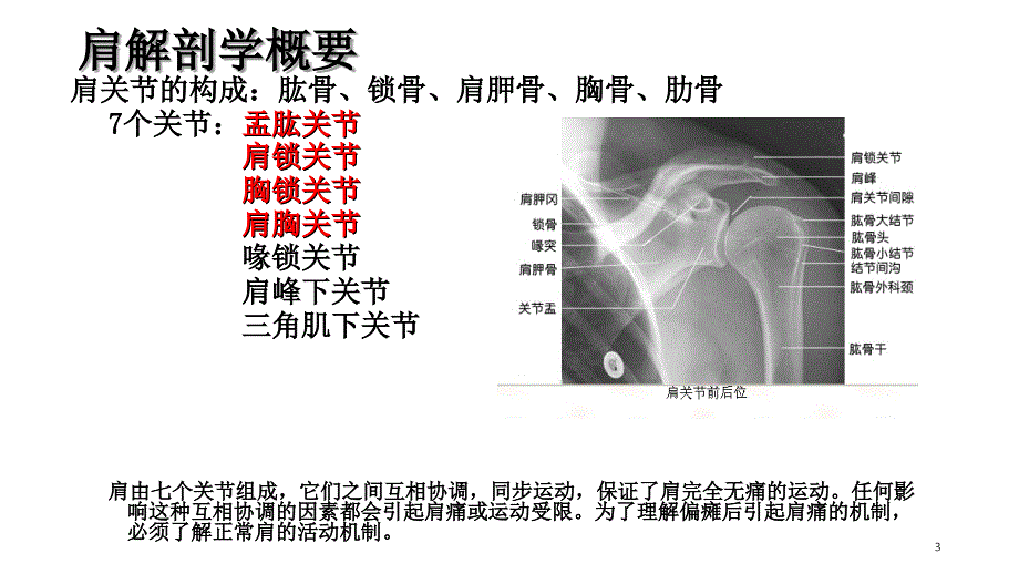 浅谈偏瘫并发症“肩痛”治疗-文档资料_第3页