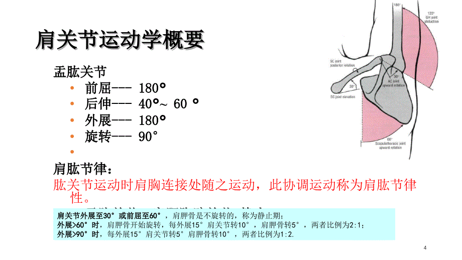 浅谈偏瘫并发症“肩痛”治疗-文档资料_第4页