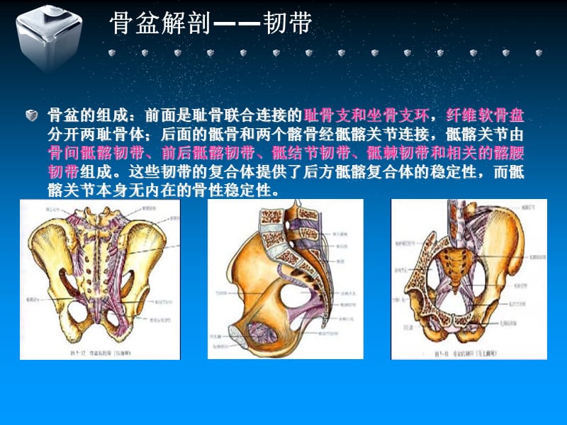 骨盆骨折的治疗-文档资料_第4页