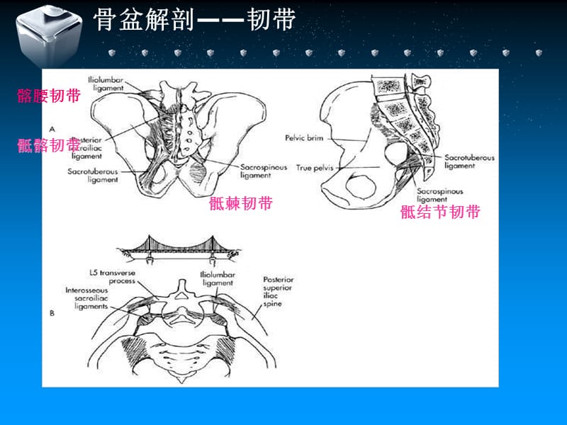 骨盆骨折的治疗-文档资料_第5页