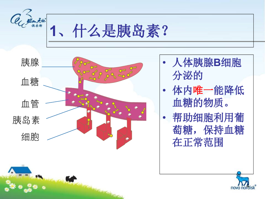 糖尿病的药物治疗及护理-文档资料_第4页