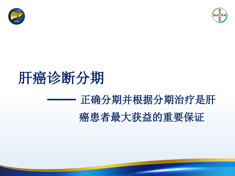 肝癌治疗的全程管理-文档资料_第3页