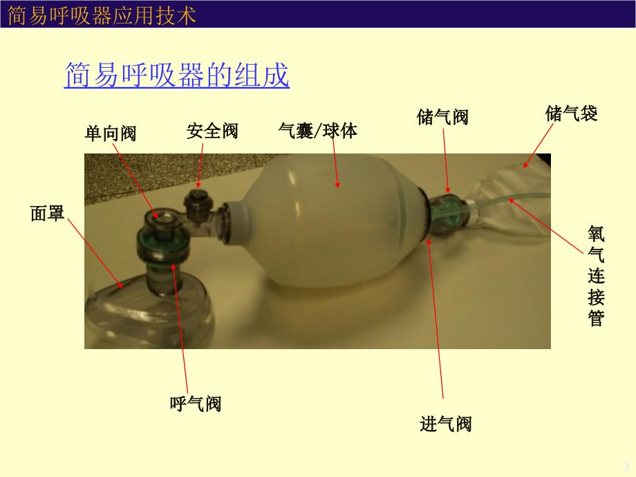 简易呼吸器使用-文档资料_第3页