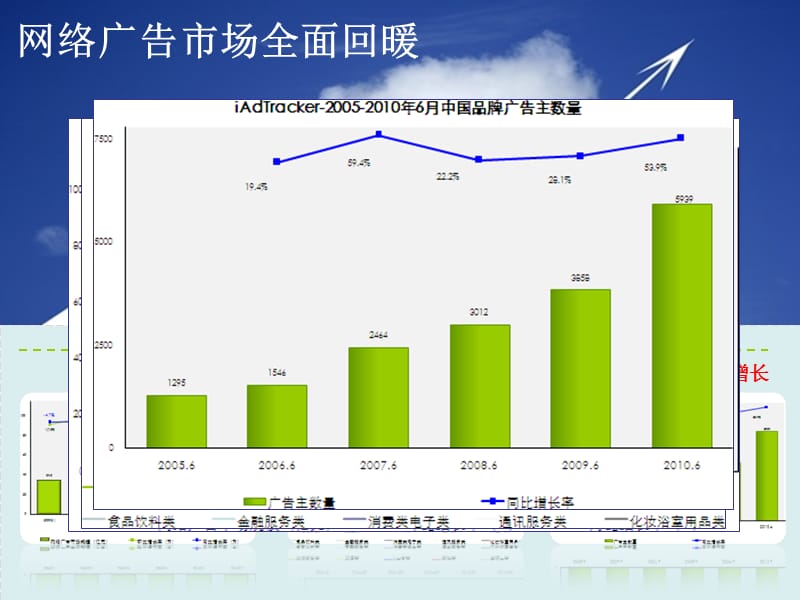 网络广告效果评估-文档资料_第2页