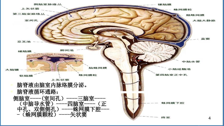 脑室引流管的护理-文档资料_第4页