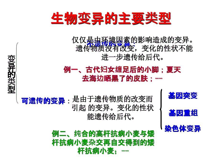 高中生物人教精品课件系列选修3专题2课题1植物细胞工程的基本技术2_第3页