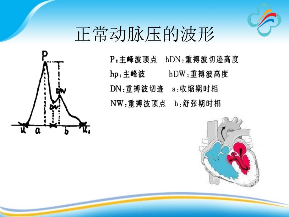 有创动脉压的监测-文档资料_第3页