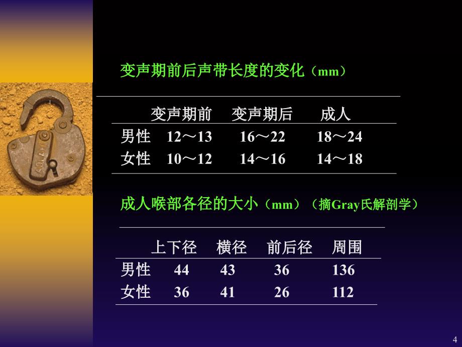 喉部的CT解剖-文档资料_第4页