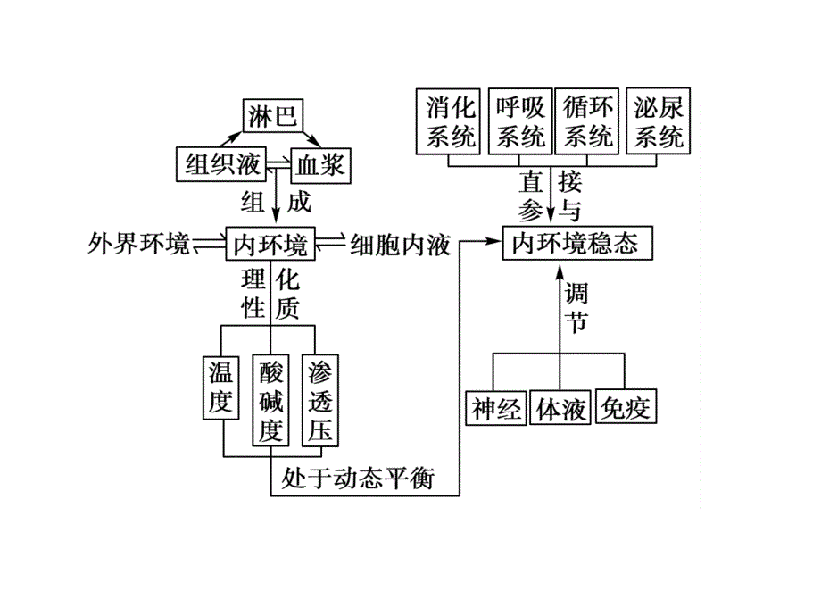 湖南省怀化市溆浦县第三中学高中生物必修3课件章末归纳整合115张_第4页