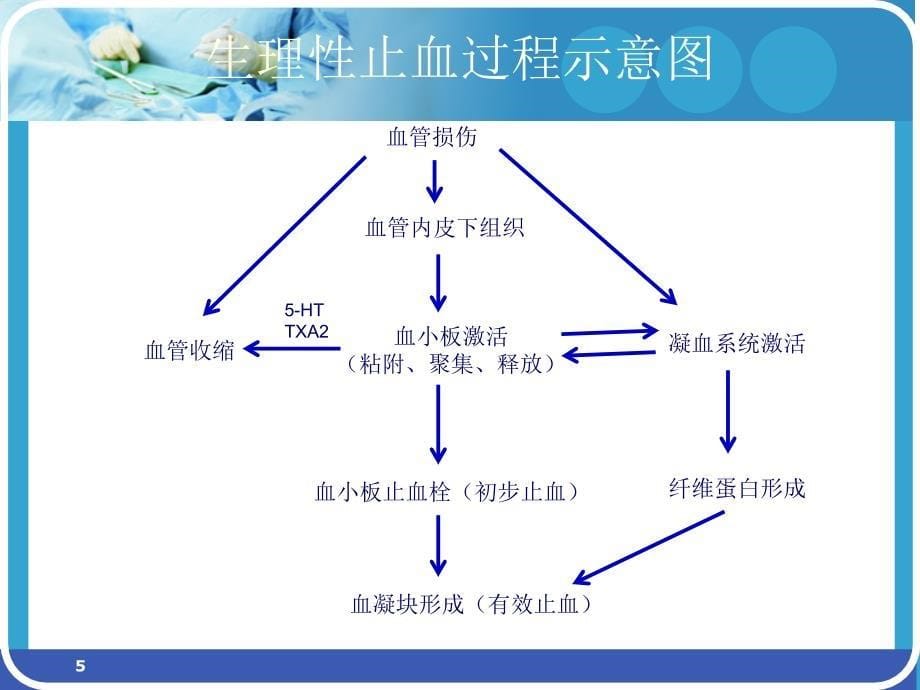 抗栓药物简介-文档资料_第5页