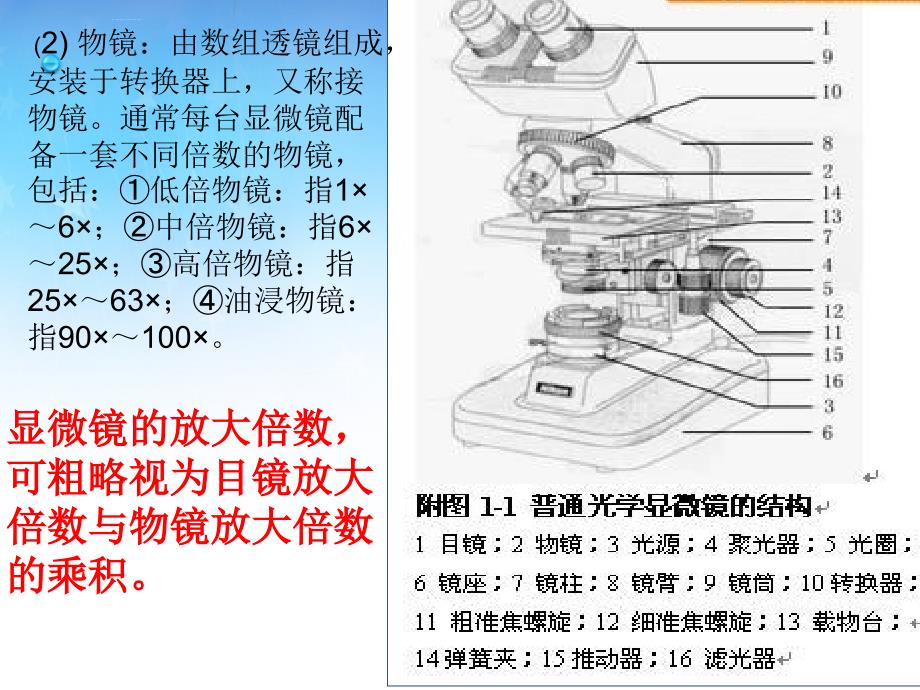 显微镜的种类及结构课件_第3页