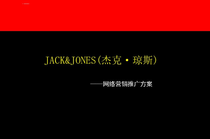 杰克琼斯网络推广方案课件_第1页