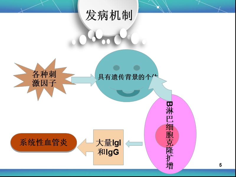 过敏性紫癜的护理查房-文档资料_第5页