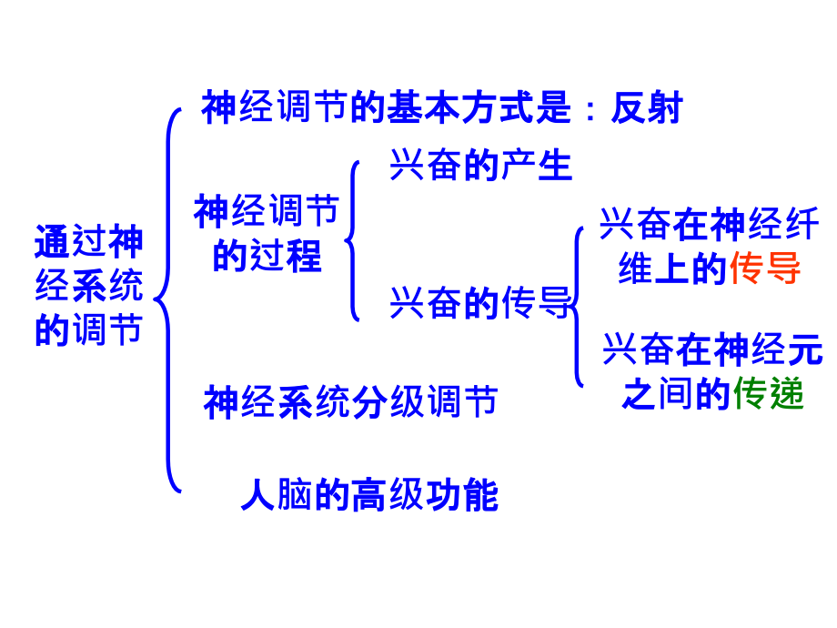 江苏省邳州市第二中学高三生物高考专题复习课件2.1通过神经系统的调节_第3页