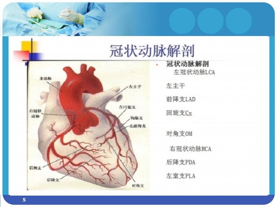 冠状动脉粥样硬化性心脏病人的护理-文档资料_第5页