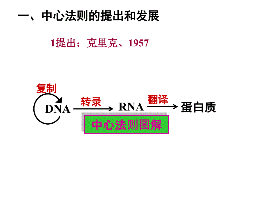 湖南省怀化市湖天中学高二生物教学课件第4章基因对性状的控制人教必修2_第4页