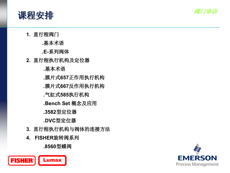 FISHER阀门培训ppt课件_第2页