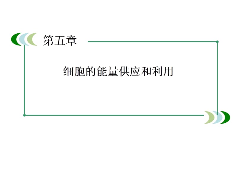 高中生物人教必修一配套课件53ATP的主要来源细胞呼吸_第2页