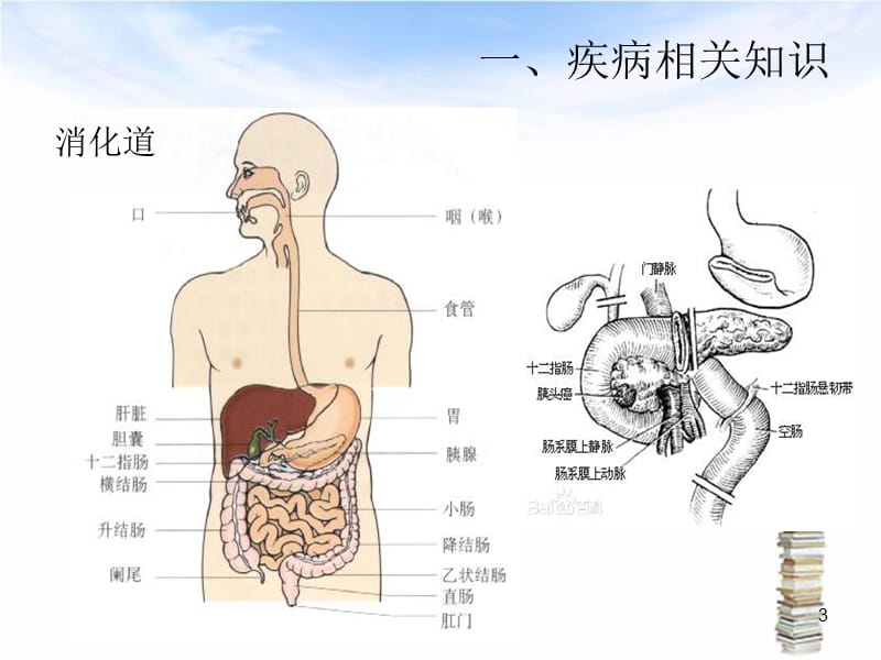 下消化道出血伴失血性休克护理查房-文档资料_第3页