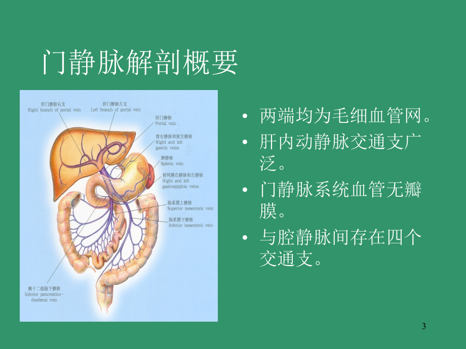 门静脉高压症.-文档资料_第3页