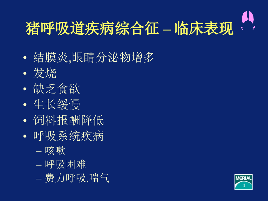 猪支原体肺炎-文档资料_第4页