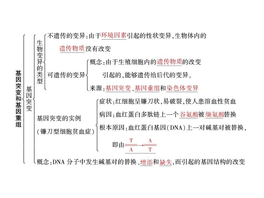 高考生物人教总复习课件必修2第5章第1讲基因突变和基因重组_第5页