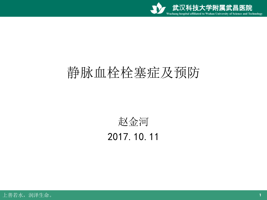 静脉血栓栓塞症及预防-文档资料_第1页