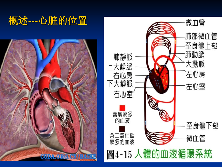 体外循环及先天性心脏病护理-文档资料_第4页