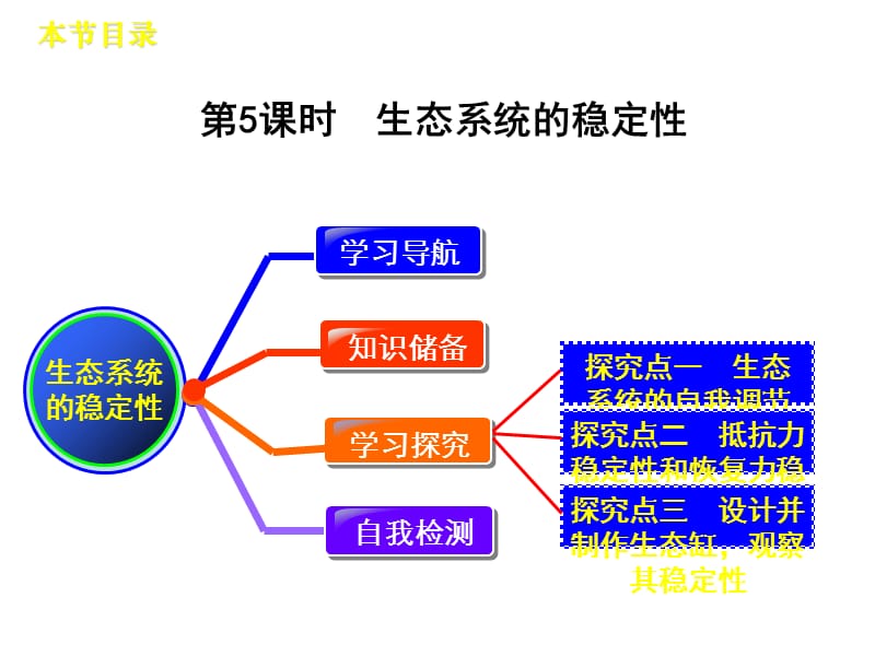 高中生物课件5.5生态系统的稳定性人教必修3_第3页