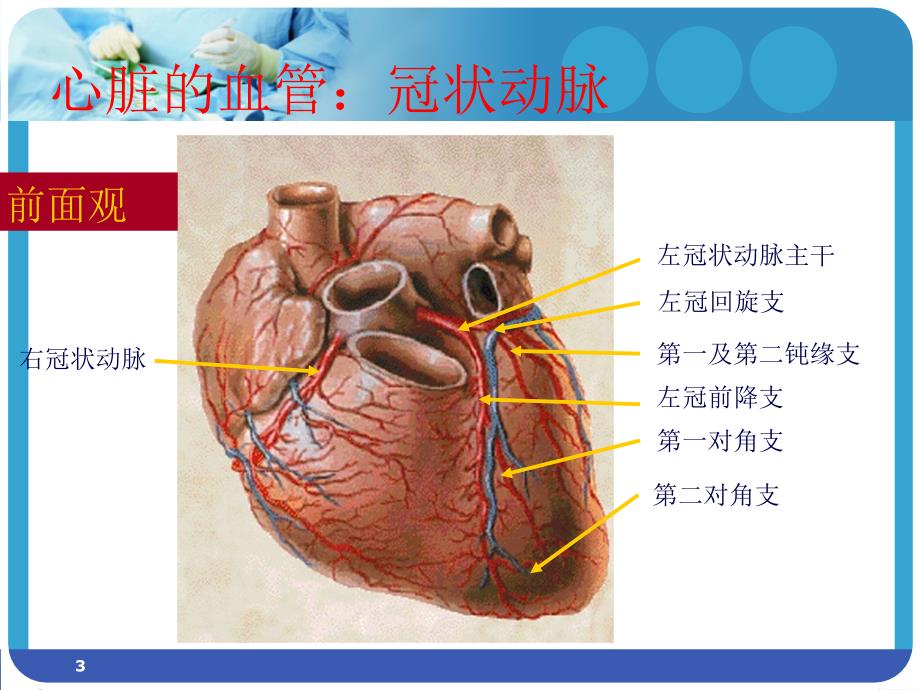 冠脉造影术的护理-文档资料_第3页