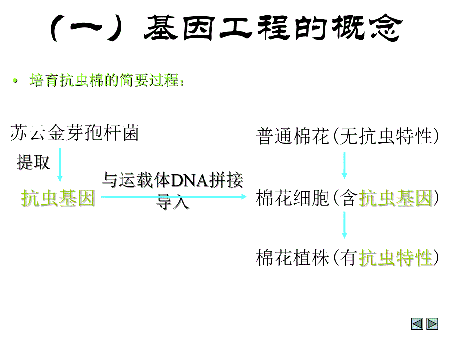 高一下学期生物必修2课件第6章第2节2_第2页