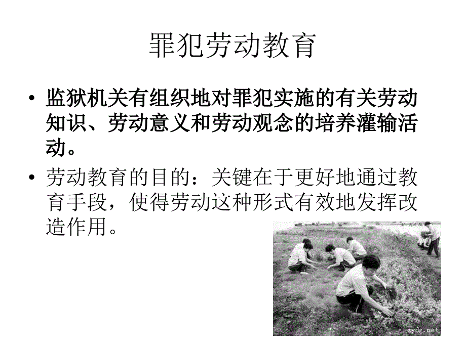 [罪犯教育学]课件_11罪犯劳动教育_第2页