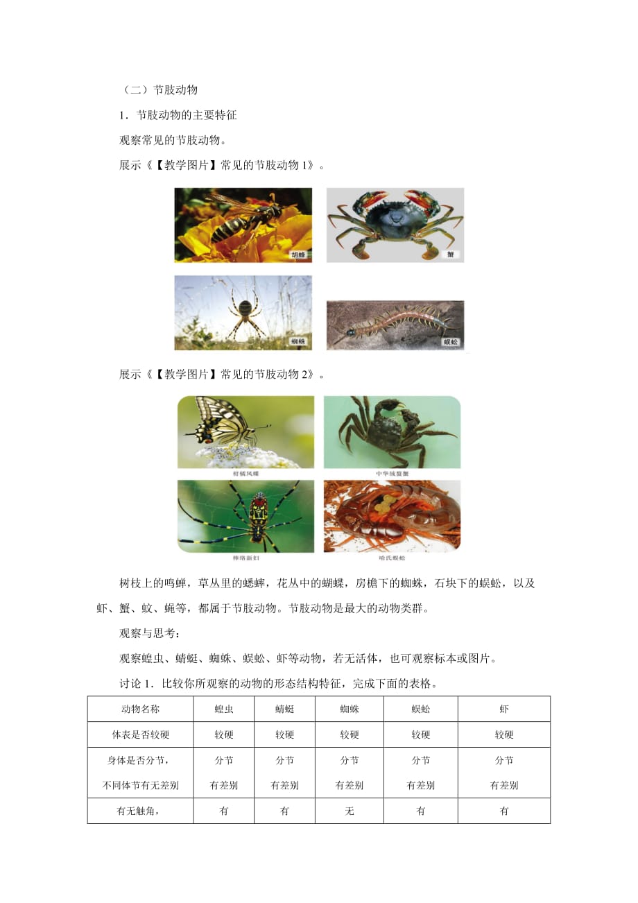 《第三节 软体动物和节肢动物 第2课时》示范课教学设计【初中生物人教版八年级上册】_第2页