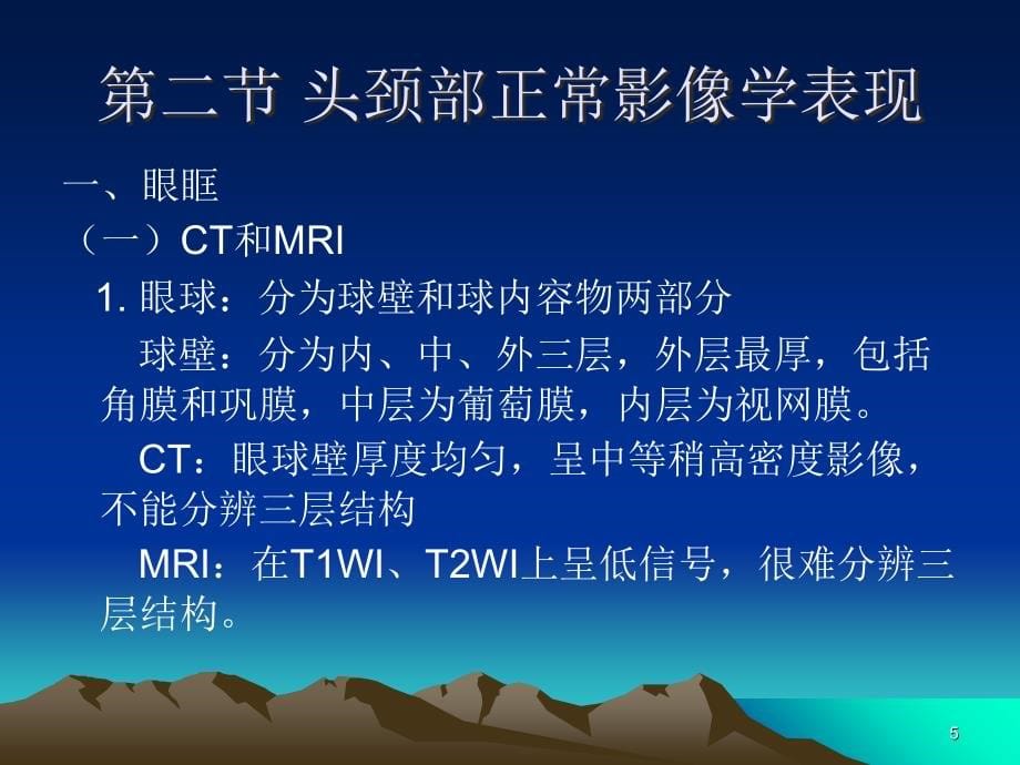 头颈部影像学表现(详细、全面)-文档资料_第5页