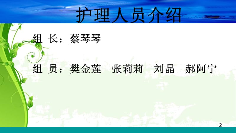 乙型肝炎患者的护理查房-文档资料_第2页