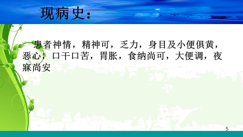 乙型肝炎患者的护理查房-文档资料_第5页