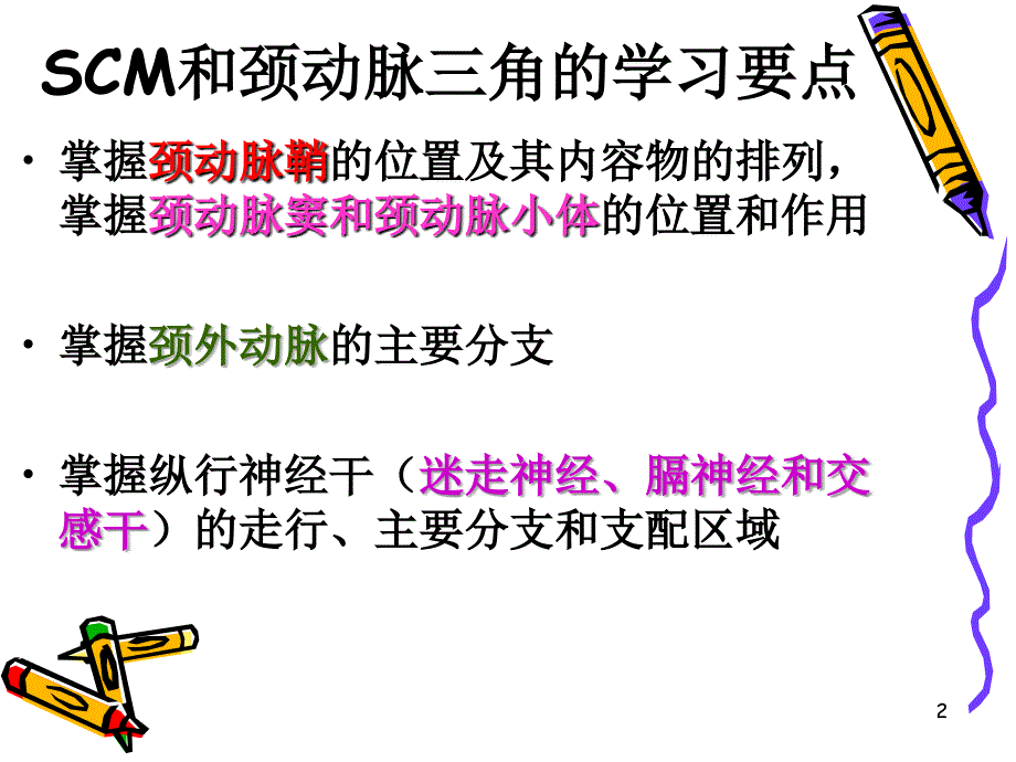 解剖之颈动脉三角胸锁乳突肌-文档资料_第2页